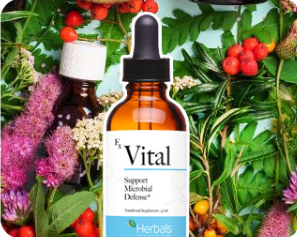 Unlocking Natural Wellness: The Power of Herbal Vital Shop